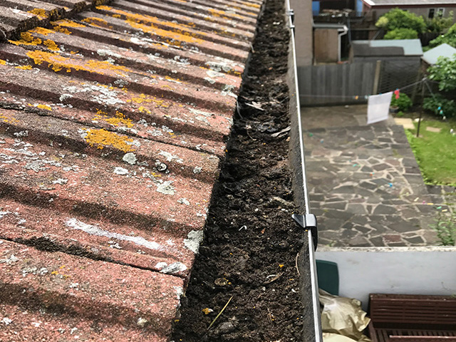 Gutter Maintenance